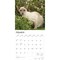 Siamese Cats | 2026 12 x 24 Inch (Hanging) Monthly Square Wall Calendar | Plastic-Free